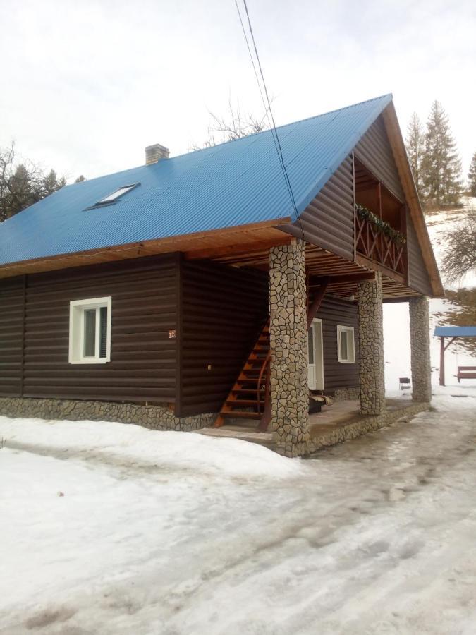 "Відпочинок В Карпатах" Villa Izki Ngoại thất bức ảnh
