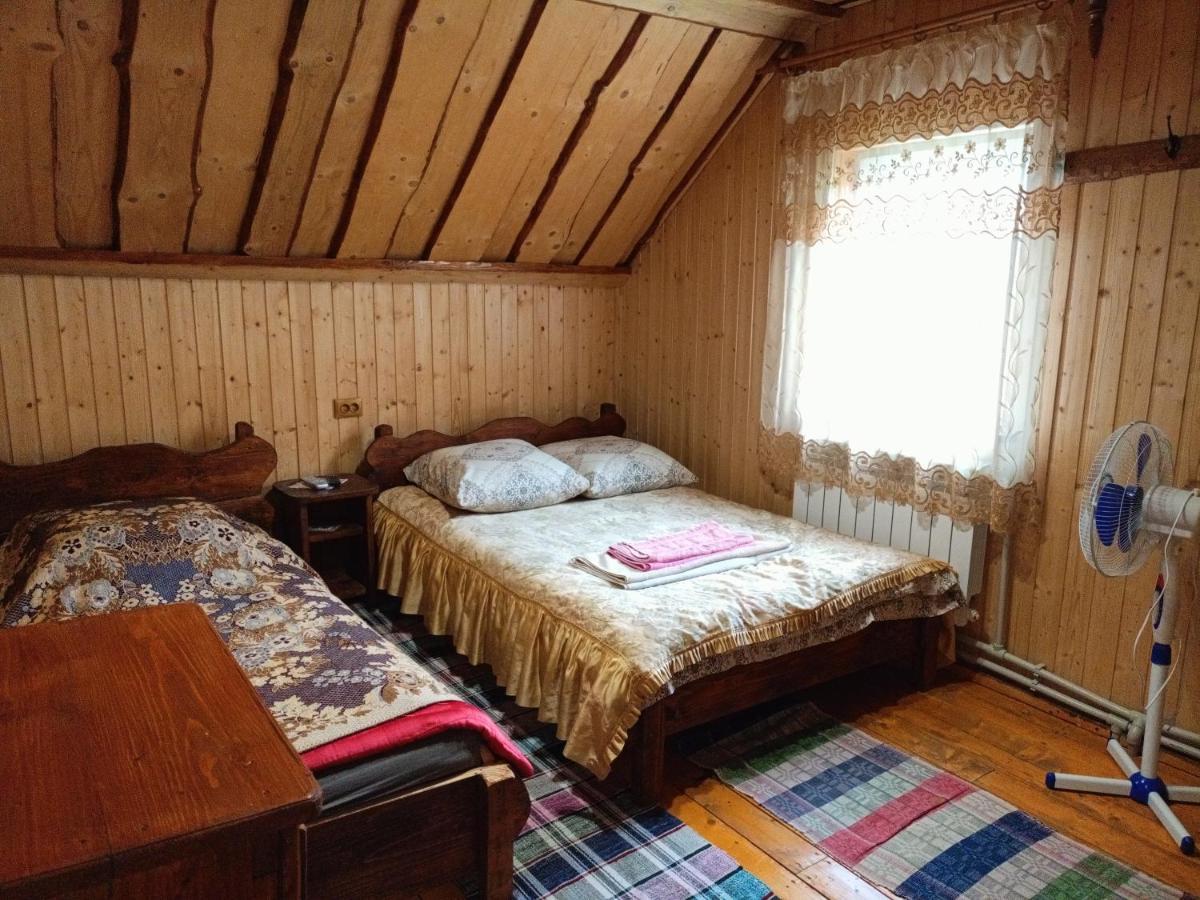 "Відпочинок В Карпатах" Villa Izki Ngoại thất bức ảnh