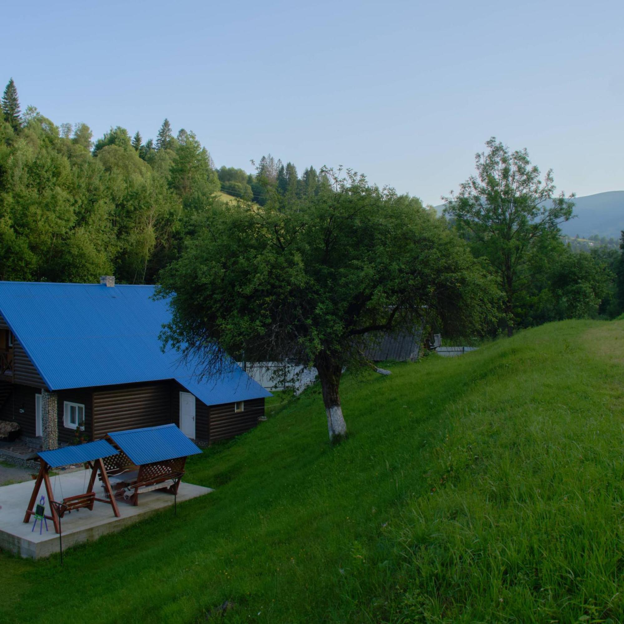 "Відпочинок В Карпатах" Villa Izki Ngoại thất bức ảnh